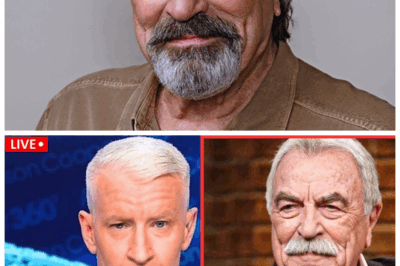 🐘 “From Hollywood Legend to Family Drama: Tom Selleck’s Massive Fortune and the Heartbreaking Tears It Caused Among His Loved Ones!” 💣 “Tom Selleck’s legacy as a Hollywood legend is undeniable, but the fortune he left behind is more complicated than anyone could have imagined. As his family members fight over his estate, the once-glamorous fortune has now become the source of deep emotional pain. ‘The wealth is nothing compared to the love we’ve lost,’ says a family member. What’s really at the heart of the family’s turmoil, and will they ever recover from the secrets Tom left behind? 👇”