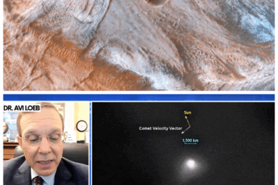 🐘 NASA’s HiRISE SHOCKER: The Mysterious Plume Defying Physics—Avi Loeb’s Alarming Response Ignites Scientific Panic! 🌪️ In an unprecedented twist, NASA’s HiRISE captures a bizarre plume pointing in the impossible direction, and Avi Loeb’s urgent reaction has experts scrambling to explain what could be a cosmic anomaly or a sign of something far more sinister. “When even NASA’s cameras get confused, you know it’s time to worry.” 👇