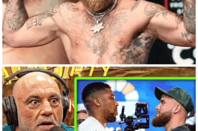 🐘 “JAKE LOST HIS MIND!” Joe Rogan’s EXPLOSIVE Reaction to Jake Paul vs. Anthony Joshua Fight – You Won’t Believe What He Said About the Chaos That Ensued! 😱 Joe Rogan didn’t hold back in his reaction to the Jake Paul vs. Anthony Joshua fight, and his comments have fans and analysts buzzing. “Jake lost his mind!” he said, but what exactly did Rogan mean by this explosive statement? “This is the unfiltered take on the fight that has everyone talking!” 👇