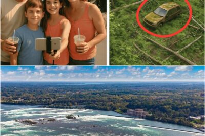 😱 Niagara Falls Nightmare: Family of Four Vanishes Without a Trace—Drone Footage 7 Years Later Reveals the Truth Nobody Saw Coming