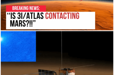😱 NASA’s Biggest Gamble: Could 3I/Atlas Reveal Secrets of Life on Mars? 😱 – HTT