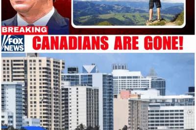 😱 Tariff FURY Backfires: Florida’s Tourism Industry Faces BILLION-Dollar Meltdown! 😱 – HTT