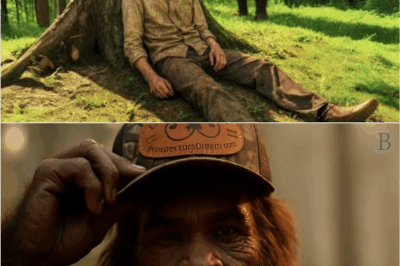 “A Hiker’s Miracle: Was It Bigfoot Who Saved Him in Pine Ridge?”