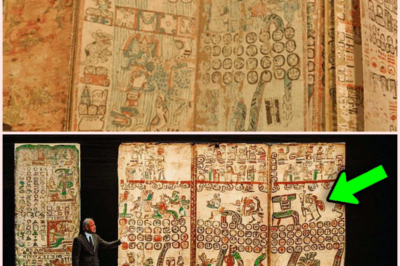 CIA’s Secret Cold War “Archaeology Division” Exposed: Newly Declassified Files Reveal a Hunt for Ancient Superweapons Unlike Anything in Modern History