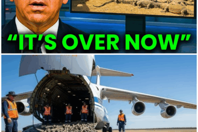 😱 Florida’s Real-Life Dragons Unleashed: Nature’s Fury or Ecological Disaster? 😱 – HTT