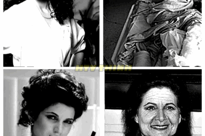 “😢 PARADISE LOST: THE ‘MIAMI VICE’ CAST IN 2025—WHEN LEGENDS FADE & DREAMS DIE 💔” — They were the faces of a generation—slick, stylish, untouchable Now, 40 years later, tragedy, illness, and regret have rewritten their legacies Fame was their drug, Miami their kingdom—but every empire of glamour eventually sinks beneath its own waves 👇