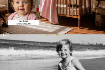 Baby Vanished in 1967—43 Years Later, DNA Test Reveals a Shocking Truth That Will Leave You Speechless!