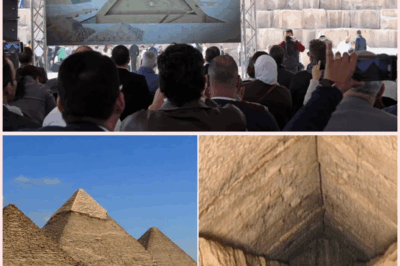 Hidden Mega-Void Discovered Inside the Great Pyramid — Could It Be the Pharaoh’s Cosmic Throne Room?