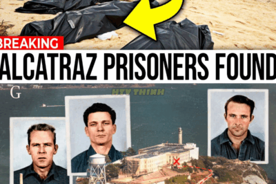 SCIENTISTS FINALLY SOLVE THE ALCAZTRAZ ESCAPE MYSTERY IN 2025 – WHAT THEY FOUND WILL SHOCK YOU!
