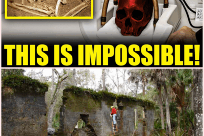 8,000-Year-Old Skull Found with Intact Brain Raises Disturbing Questions About Ancient Civilizations!