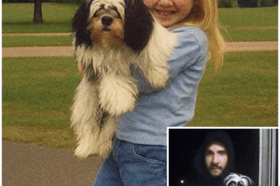 Girl Vanished Playing With Her Dog – 6 Months Later, a Stranger Shows Up With Her Dog… – HTT