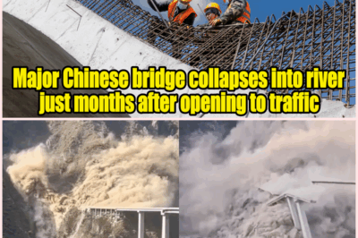 Massive Chinese Bridge Collapses Just Months After Opening, Dust Clouds Hide Twisted Steel