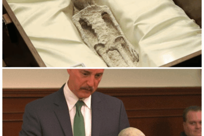 🚨 “CAPITOL CHAOS ERUPTS: Congress Unleashes ‘Alien Files’ So Explosive Lawmakers Were Seen Trembling Behind Closed Doors 🛸” — In a twist worthy of a political soap opera gone cosmic, insiders claim the long-buried “evidence” unveiled today sparked gasps, finger-pointing, and frantic whispers as stunned officials scrambled to control a disclosure that feels less like policy and more like an interstellar betrayal 👇