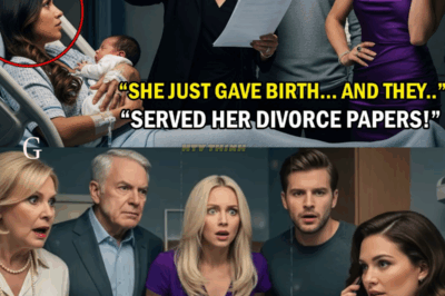 Not Knowing She’s a Secret Billionaire!: She Just Gave Birth — Her In-Laws Handed Her Divorce Papers