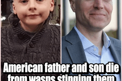 American Father and Son Killed by Swarm of Hornets After Being Stung ‘More Than 100’ Times on Vacation Zipline
