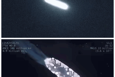 3I/ATLAS IS HEADED STRAIGHT FOR EARTH! James Webb Telescope’s Shocking Discovery Shakes the World 🌍💥 Hold onto your seats—what the James Webb Space Telescope has uncovered might be the most terrifying discovery of the decade. 3I/ATLAS, a rogue interstellar object, is altering its course and heading directly toward Earth! Could this be the beginning of a catastrophic event that could change life as we know it? Experts are racing against time to uncover the truth, but one thing is certain: the world is about to face a cosmic showdown like no other. 👇