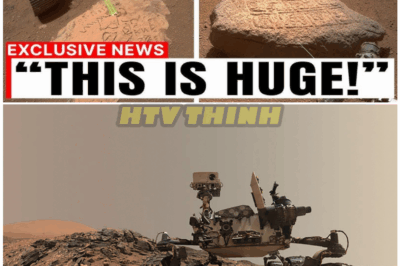 🦊 “RED PLANET SHOCKER: Mars Rover Laser Scan Reveals Something Hidden for MILLIONS of Years — NASA Scientists Are STUNNED 🚨🪐”