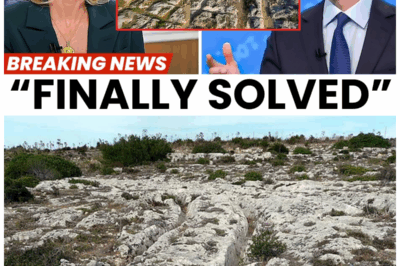 😲 What Are Malta’s Cart Ruts Really? Scientists Finally Reveal the Astonishing Origins of These Ancient Grooves—And It Will Change Everything You Thought You Knew! 🔎