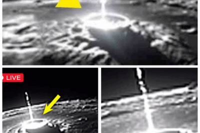 “🚨Ultimate Cosmic Horror: The James Webb Space Telescope Just Revealed a Nightmare on Proxima b — Humanity’s Worst Fear Realised” Scientists thought they were peering at a promising ‘Earth‑twin’. Instead the Webb telescope’s latest data has shattered that hope — Proxima b isn’t just inhospitable, it’s screaming disaster: unpredictable stellar flares, mind‑melting radiation, and a surface that may be molten or stripped of air. In short: this exoplanet is not a future refuge—it’s a red‑flag for how small our place in the cosmos is.👇