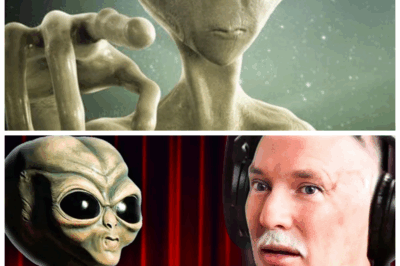 Abducted Man BREAKS His Silence — The SHOCKING Alien Agenda He Discovered Will Haunt You Forever 🚨👁️  After years of nightmares and suppressed memories, the abducted survivor finally speaks out, unveiling a secret mission he claims aliens are hiding from mankind, a revelation so dark and psychologically twisted that authorities are now panicking over what might already be unfolding behind the stars.👇