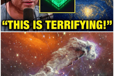 🤖 Google’s Quantum AI Was Asked Who Built the Universe, and Its Shocking Response Has Scientists and Philosophers Reeling—What Did It Really Discover?