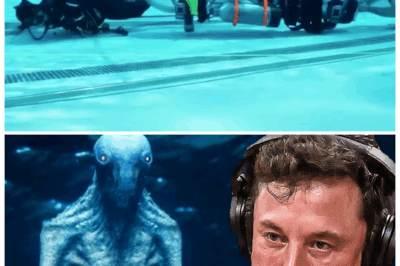 🌊 “MUSK’S OCEAN SHOCKER: Elon Breaks Silence on the Navy’s Deep-Sea Encounter That Left Divers SPEECHLESS 🐙” — In a revelation dripping with mystery and ego-clashing tension, Musk hints that what the Navy witnessed wasn’t just strange—it was a reality-twisting undersea secret so unnerving that elite divers allegedly refused to go back down, sparking whispered fears of something ancient, intelligent, and very awake 👇