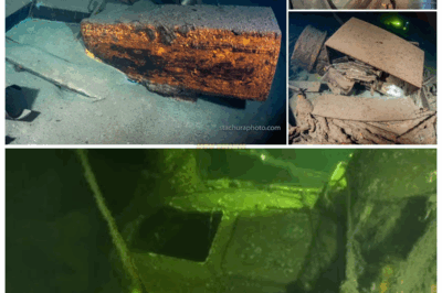 “The Amber Room’s Phantom Trail 🐍 Resurfaces as Polish Crew Claims the Nazi Wreck ‘Growls’ When Approached—A Warning to Stay Away From Its Forbidden Cargo!” Sources say the team’s equipment malfunctioned the moment they neared the hull, while a diver swears he saw a serpent-shaped emblem glowing underwater, pulsing like the heartbeat of the treasure the world thought lost forever👇