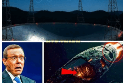 “👽THE INVADER WE DIDN’T SEE COMING: CHINA CLAIMS 3I/ATLAS IS BOTH SHIP & BIO-MODULE—OUR DEFENCE’S WORST NIGHTMARE💥” Imagine opening a door to find not just a rock, but a living machine gliding through space. That’s what Chinese scientists say they found in 3I/ATLAS: living textures and controlled bursts of acceleration. NASA’s refusal to release matching imagery? One expert calls it “damage-control before panic.” The question becomes: did it choose us—or did someone send it?👇