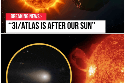 😱 The Sun and 3I/Atlas: A Cosmic Dance or a Dangerous Game? 😱 – HTT