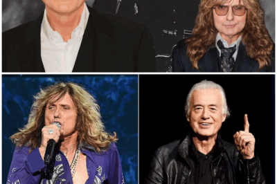 😱 From Collaboration to Tribute: Jimmy Page’s Heartfelt Reaction to Coverdale’s Shocking News! 😱 – HTT