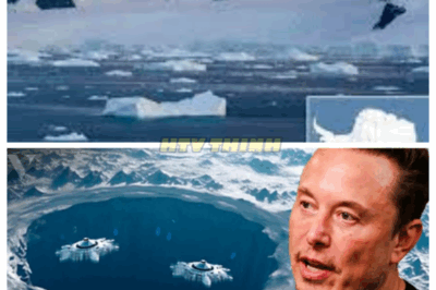“🚨ELON MUSK’S ICE REVELATION SHOCKS EARTH—ANTARCTICA’S CORE MAY BE AN ALIEN GATEWAY⚠️🕳️” Musk suggests the sudden uptick in seismic activity beneath Antarctica isn’t geology—it’s something monitoring the surface. In hushed tones he implies the continent hides a portal or artefact so vast that global agencies suppressed it. Now the frozen door is cracking.👇