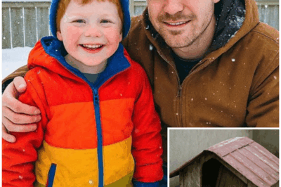 Boy Vanished While Playing Outside, 8 Years Later Dad Looks Under Neighbor’s Dog Kennel… – HTT