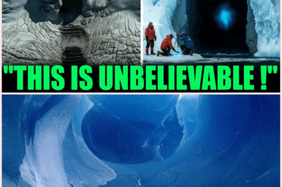 What Lurks Beneath Antarctica? Giant Cave With Mysterious Steps Has Experts and Explorers Stunned