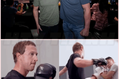 🌈 Dana White warns haters of Facebook founder Mark Zuckerberg: ‘[He] will beat the living sh*t out of you’