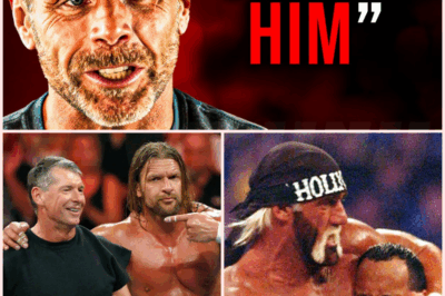 🌈 Shawn Michaels Names 10 Wrestlers He Hated! Real-Life Wars, Not Just Storylines