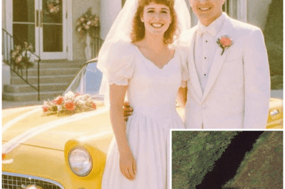 Couple Vanished After Their Wedding in 1985 – 12 Years Later a Satellite Image Reveals This… – HTT