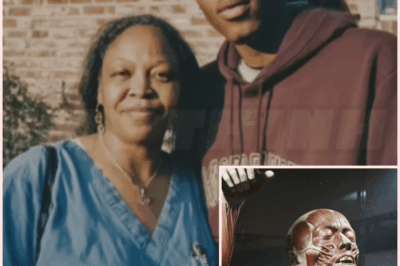 🌈 For 25 Years, a Museum Kept a ‘Medical Specimen’ — Then a Mother Realized It Was Her Missing Son