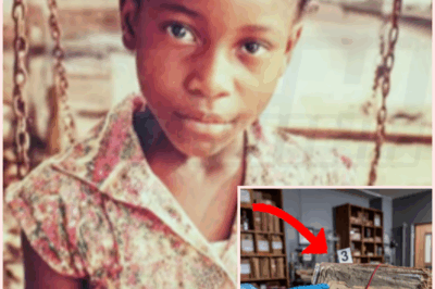 🌈 An 11-Year-Old Vanished in 1966 — 40 Years Later Her Lost Case File Was Found in the Sheriff’s Desk