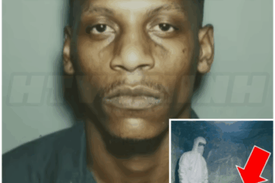 🌈 He Spent 20 Years in Prison for His Wife’s Murder — Until She Was Found in the Neighbor’s Basement