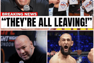 🌈 UFC, fighters close on $375M settlement with judge’s approval