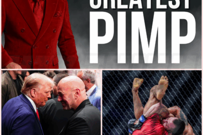 🌈 The Untold Story Of Dana White & Modern Mma Revealed!