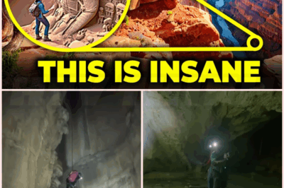 🐹 What Scientists Found In FORBIDDEN Area Of The Grand Canyon SHOCKS The World!