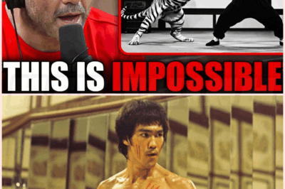 🐹 No One Believed These Bruce Lee Stories! Until They Watched This