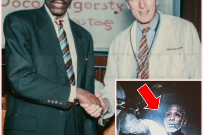 🌈 He Discovered a Cancer Cure — Then Vanished. Ten Years Later, He Was Found Locked in a Vault