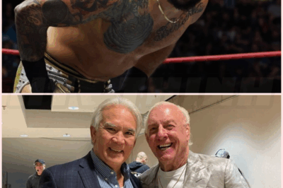 🌈 Former WWE champion reacts to Ric Flair and Ricky Steamboat’s return to AEW; calls them old farts
