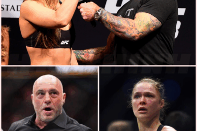 🌈 Why does Ronda Rousey dislike Joe Rogan? How their relationship changed after KO defeats