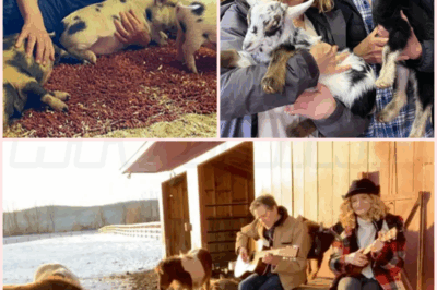 🌈 The Peaceful Life After All The Flashing Lights Of Kevin Bacon