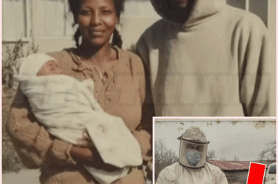 🌈 Entire Families Had Been Disappearing for Years, Then… All Found in One Farm’s Fields