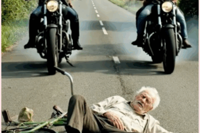 🌈 Reckless Biker Hits Old Man with Apples