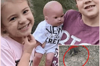 🌈 The Guardian of Falsam Woods